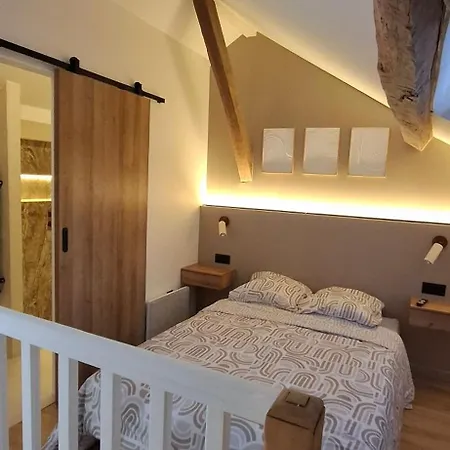 Duplex Elegant Renove Place Clemenceau Apartment Pau