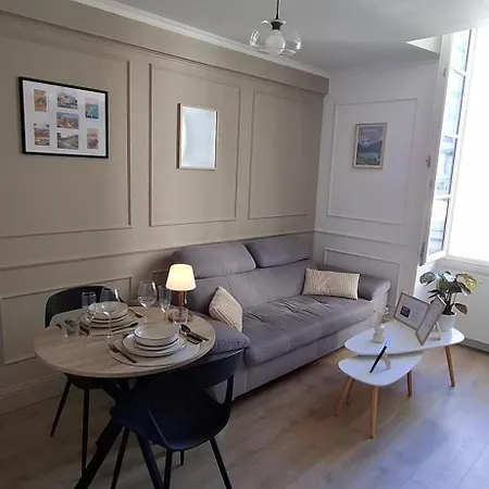 Duplex Elegant Renove Place Clemenceau Apartment Pau