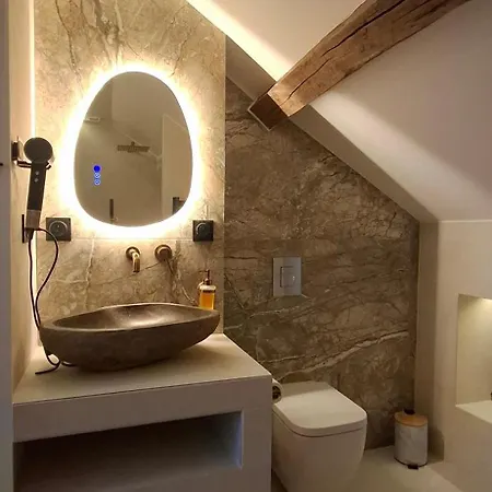 Apartment Duplex Elegant Renove Place Clemenceau Pau