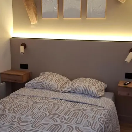 Apartment Duplex Elegant Renove Place Clemenceau Pau